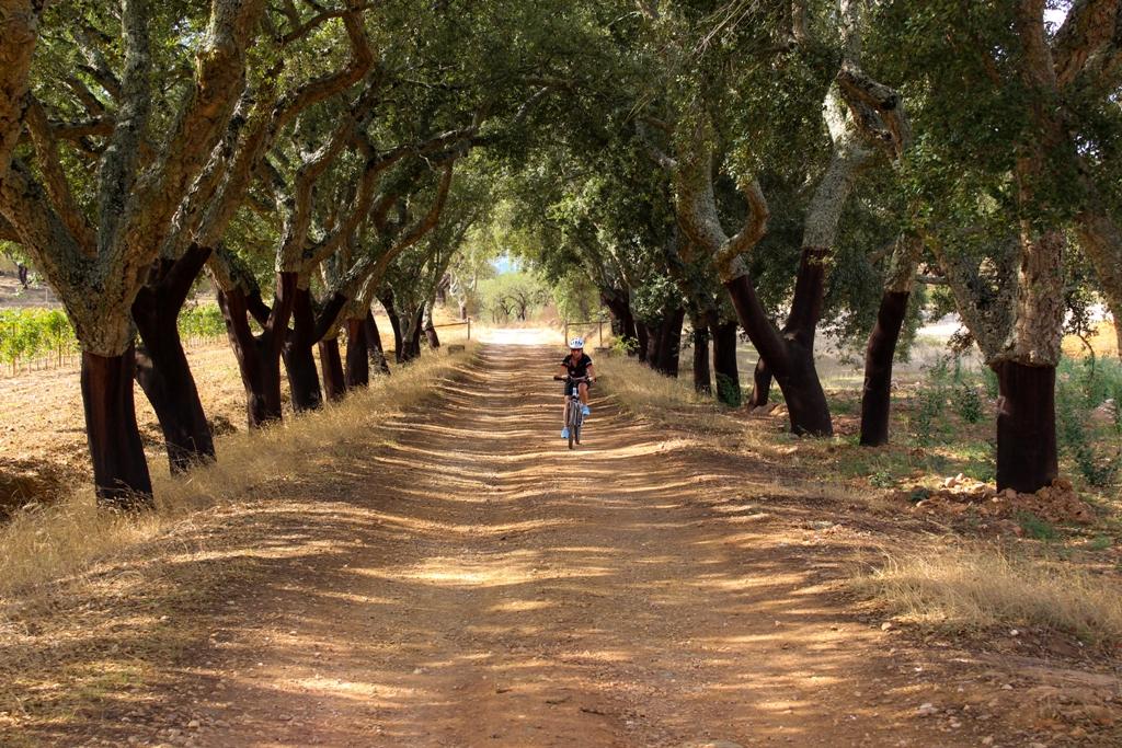 Discover Alentejo - For Your next Winter Long Stay