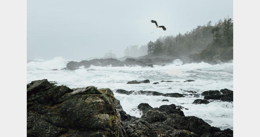 THE STORM WATCHING CAPITAL OF THE WORLD - TOFINO WELCOMES YOU NOW! - background banner